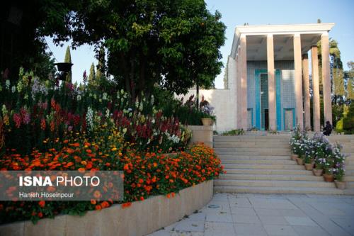 چالش سعدی برای موسیقی