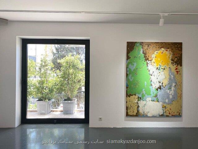 روایتی از نظم برآمده از بی نظمی