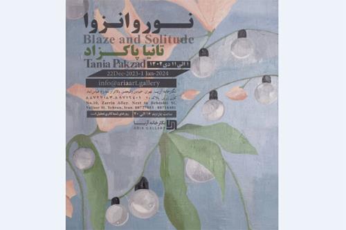 گالری آریا میزبان نور و انزوا شد