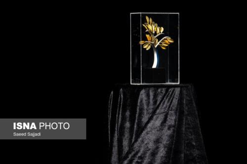 این درخت شانزده ساله میوه خواهد داد؟