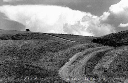 نمایش عکس های زیست محیطی از کیارستمی، کیانیان و ۸ هنرمند دیگر