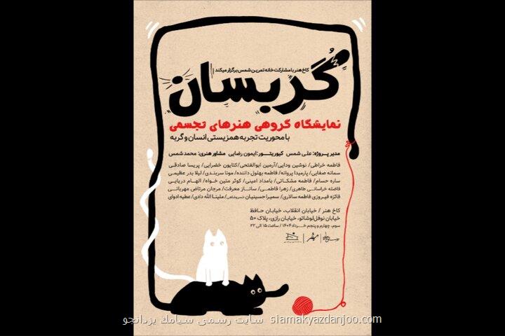 نمایشگاه گربسان بازتاب تجربی از همزیستی انسان و گربه