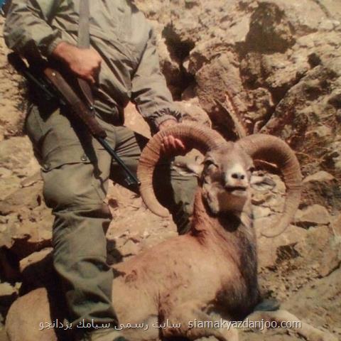 روایتی از شكارچی كه هنرمند شد
