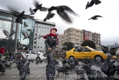 موفقیت عكاسان ایرانی در مجموعه جشنواره های بین المللی بابل