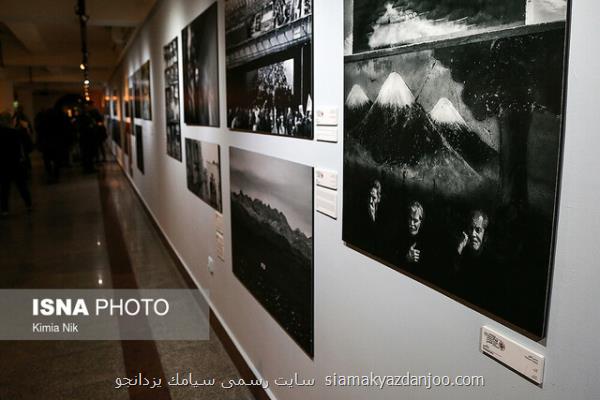 خرید آثار برتر هنرمندان در جشنواره هنرهای تجسمی فجر
