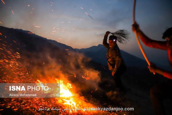 كاریكاتورها پا به پای جنگل ها سوختند