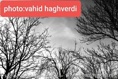به دنبال نمایش اهمیت طبیعت بودم